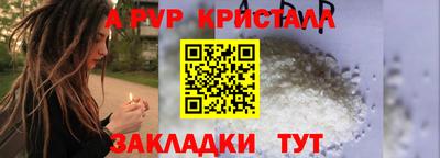 дурь Кингисепп