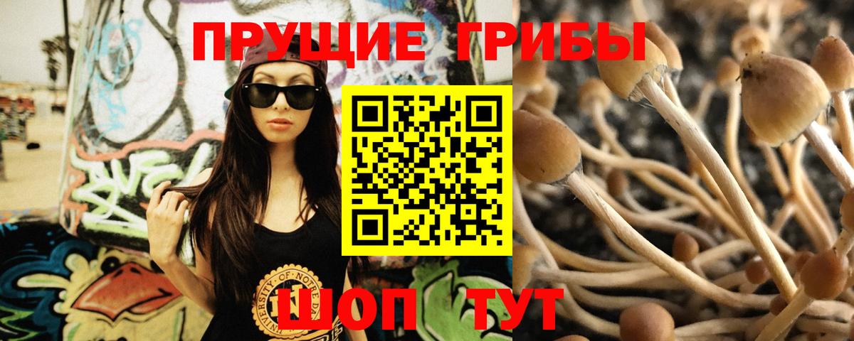 Псилоцибиновые грибы мухоморы Коммунар